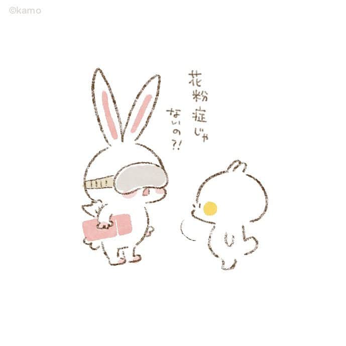 カモのインスタグラム