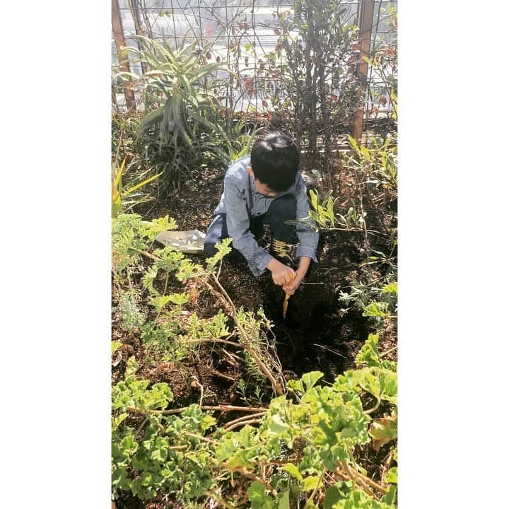 journaleatripのインスタグラム：「sun & soil  たくさん 太陽浴びて 土も浴びて。  皆様よい日曜日を！」