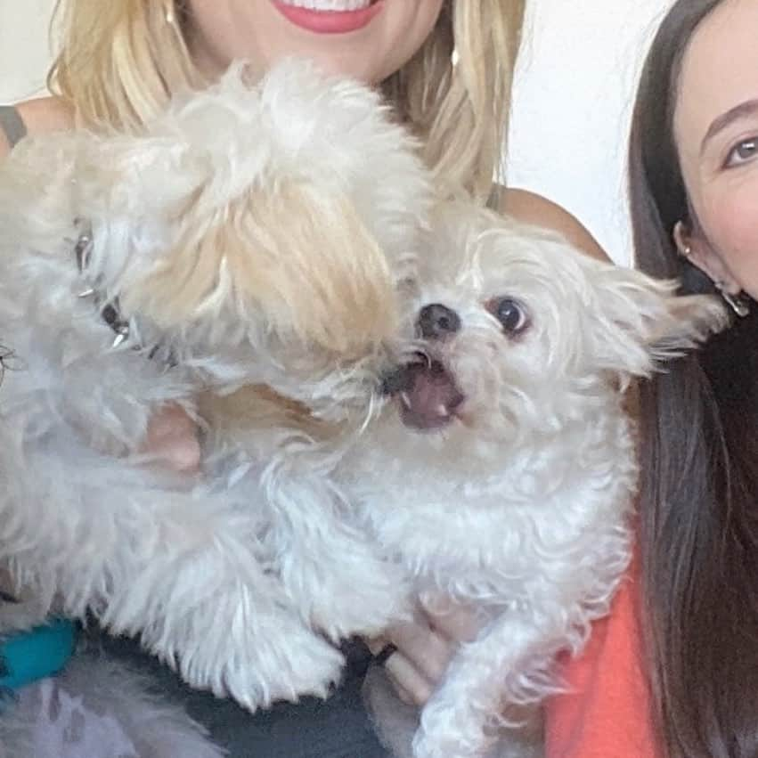 オリヴィア・マンさんのインスタグラム写真 - (オリヴィア・マンInstagram)「Family photos are tough as shit to take. 👉🏼SWIPE @esthermonster @annielederman 🐶🐶🐶🐶💘💘」2月21日 10時09分 - oliviamunn