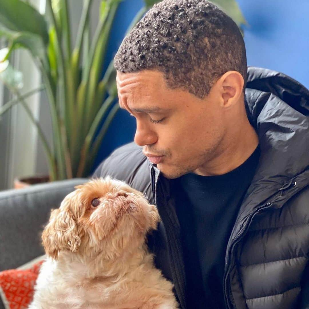 CBSさんのインスタグラム写真 - (CBSInstagram)「Celebrating our #GRAMMYs hosts birthday and  #NationalLoveYourPetDay! ❤️🐶✨🐱🎶 (📸 @trevornoah)」2月21日 10時29分 - cbstv