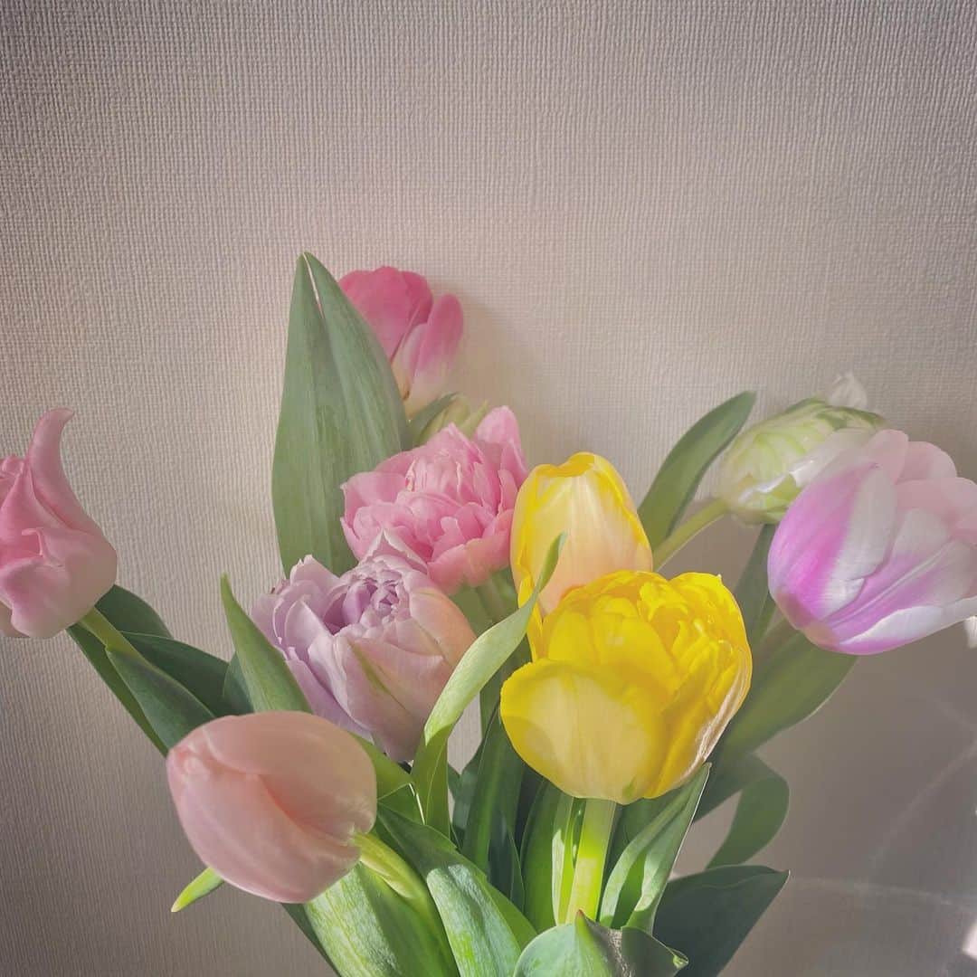 梅村実帆のインスタグラム：「1本100円のチューリップ、いろんな色🌷🌷🌷 天気もさいこう〜しあわせ☺️」