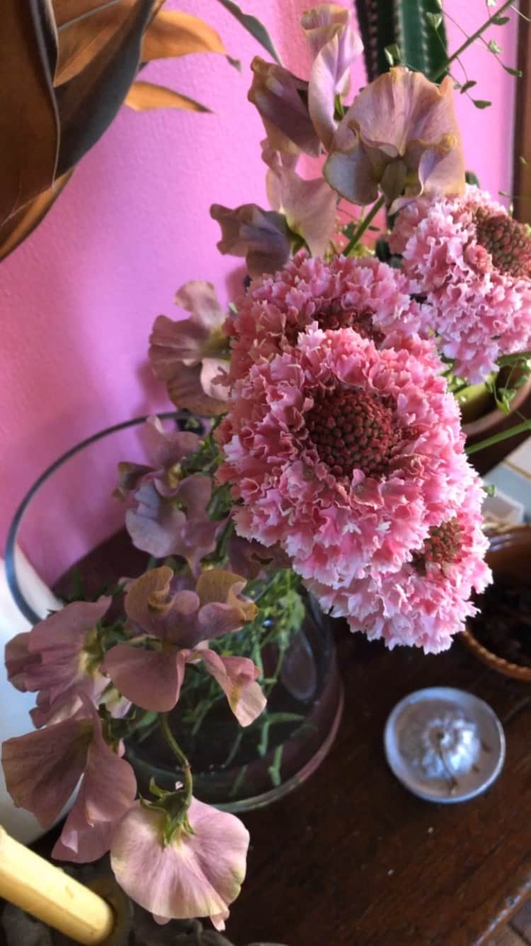 黄川田としえのインスタグラム：「もう春来たって思っちゃっていいよね。 🌸🌷🌸🌷🌸🌷🌸🌷🌸 #spring #flowers  #totto__life  #goodmorning  #sunday #バンクシャー#スペシオサ#バックステリー#チューリップ#スカビオサ#スイトピー#ぺんぺん草　←これだけ昭和」