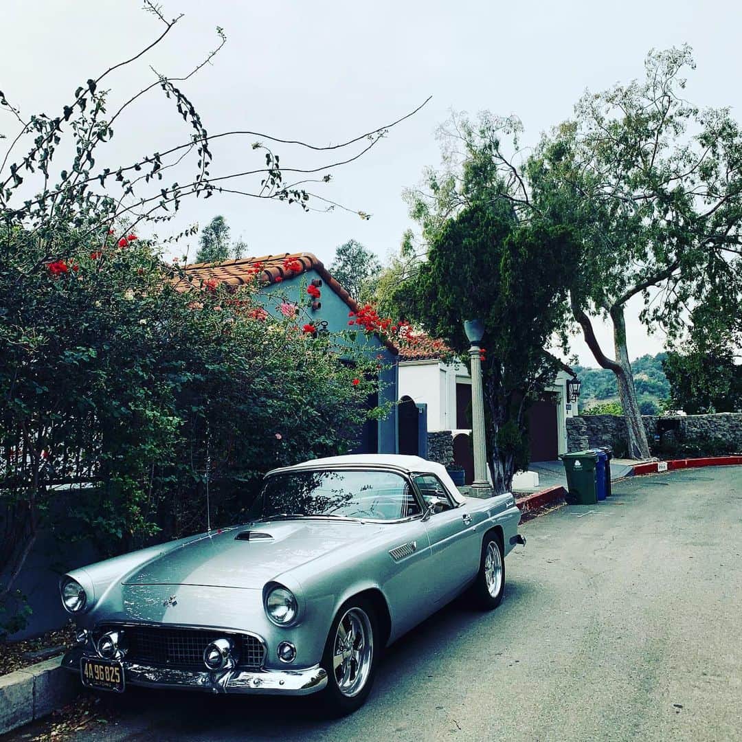 ジョナサン・カサーのインスタグラム：「Classic Beauty」