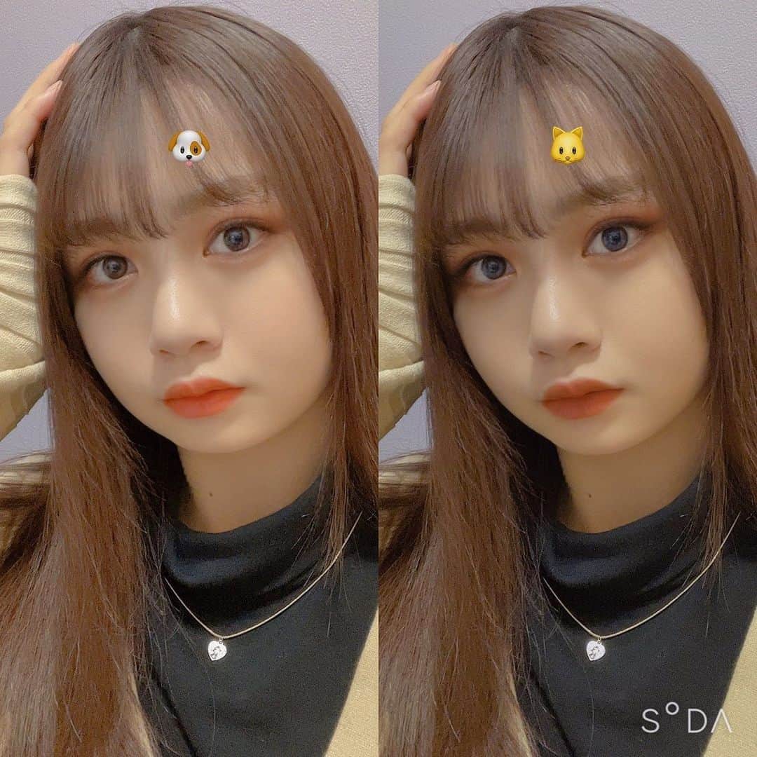 安村真奈のインスタグラム：「SODAのスタイルにあったから使ってみたよ♡ 左が犬顔、右が猫顔メイク🐶🐱 どっちも盛れちゃう☺︎ みんなはどっちが好き〜？  #盛り方は自分次第　#soda #sodapr #安村真奈」