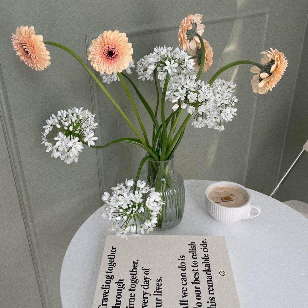 イユエリンのインスタグラム：「폼포니 거베라 🥀」
