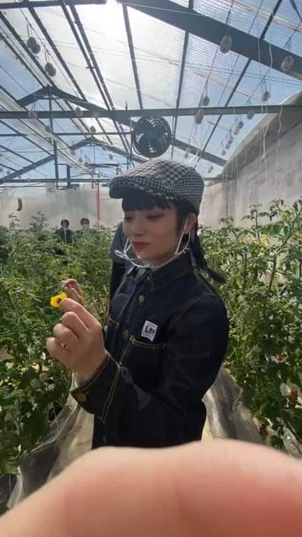 矢部ユウナのインスタグラム