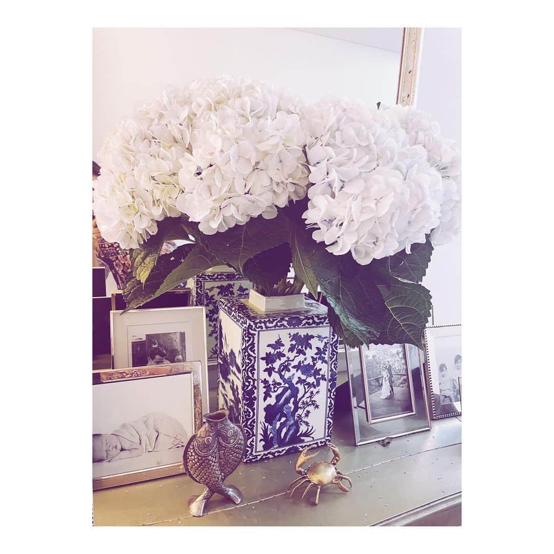 ココリボンのインスタグラム：「Heavenly hydrangeas from a gorgeous friend 🤍  Thank you Michelle @hausofcomms」