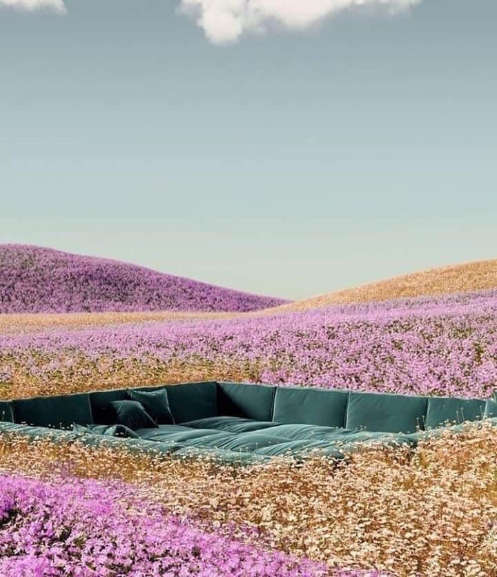 メリメロのインスタグラム：「🌸🌼🧸」