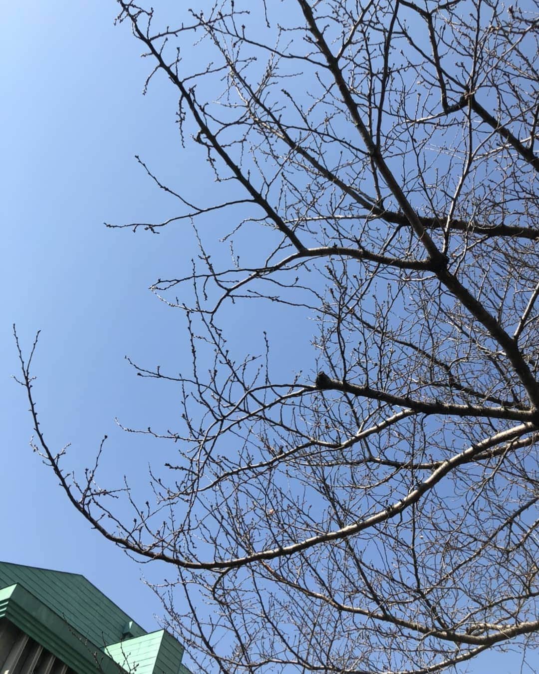 光石研さんのインスタグラム写真 - (光石研Instagram)「今日はとっても暖かいですねー✌️ 春から映画バイプレイヤーズ✌️ よろしくお願いします‼️ね、漣さん✌️ 【by 光石】」2月21日 12時13分 - kenmitsuishi_official