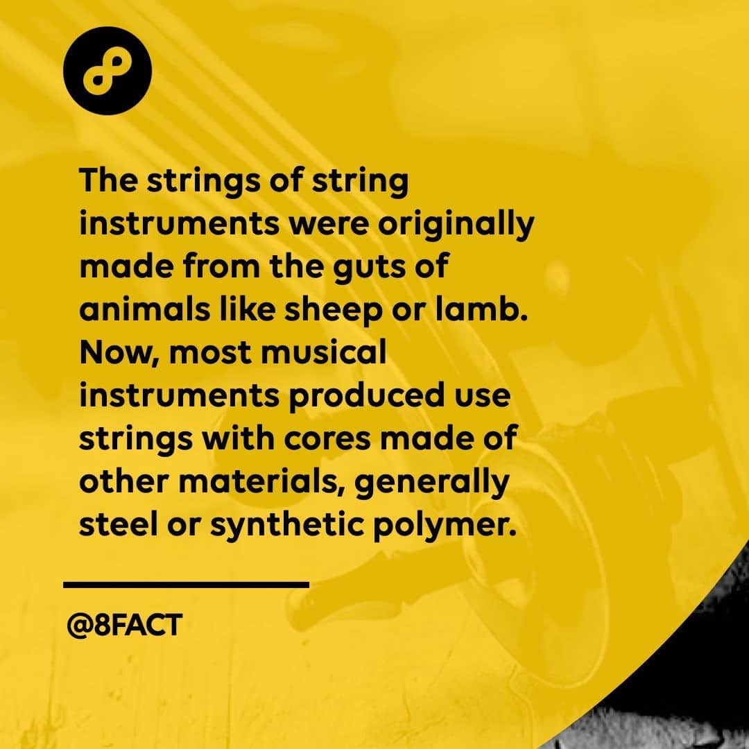 さんのインスタグラム写真 - (Instagram)「But gut strings are still commonly preferred in concert-tension pedal/grand and some lever harps because they give a richer, darker sound.」2月21日 12時33分 - 8fact