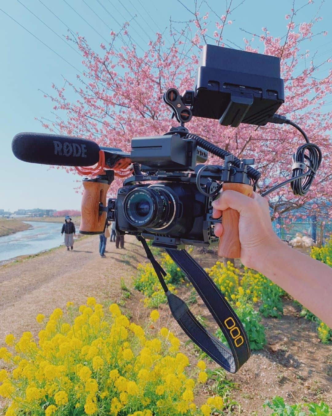 Hikaru Nakamuraさんのインスタグラム写真 - (Hikaru NakamuraInstagram)「春だ！🌸 動画用のオールドレンズテストだ😍  ハンドル装備に換装した。 まるで僕のストライクガンダム。  #シネマカメラ#フィルムカメラ#オールドレンズ#ヴィンテージレンズ#vintagelens#canon#canonfd#bmpcc#bmpcc6k#桜#菜の花#菜花」2月21日 12時30分 - hikarunosuke