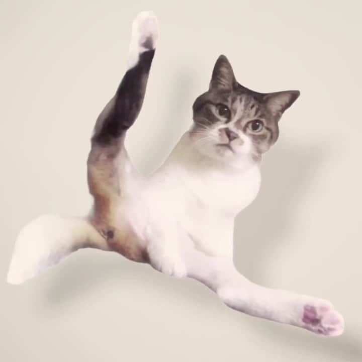 イマイアキノブのインスタグラム：「ꥃ ご機嫌いかがですか こちら スカッとするほど気怠い午後です」