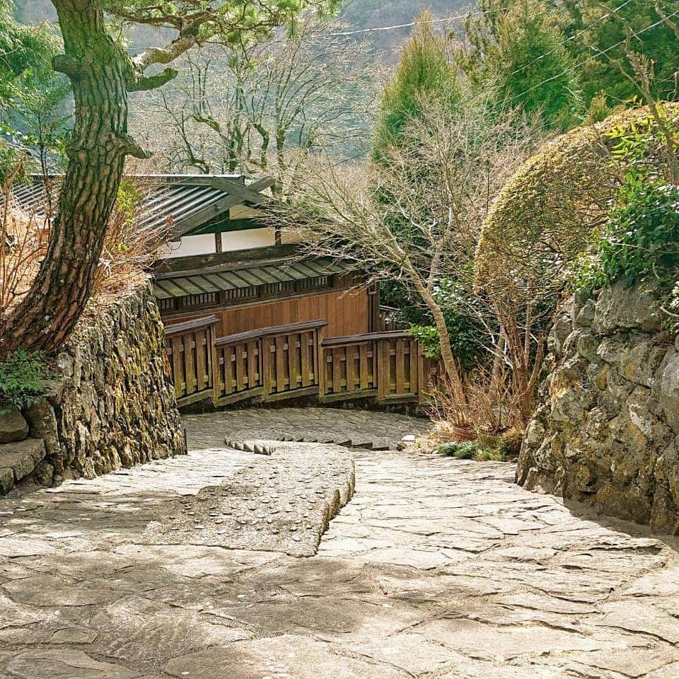 TVアニメ「ゆるキャン△」のグルメインスタ