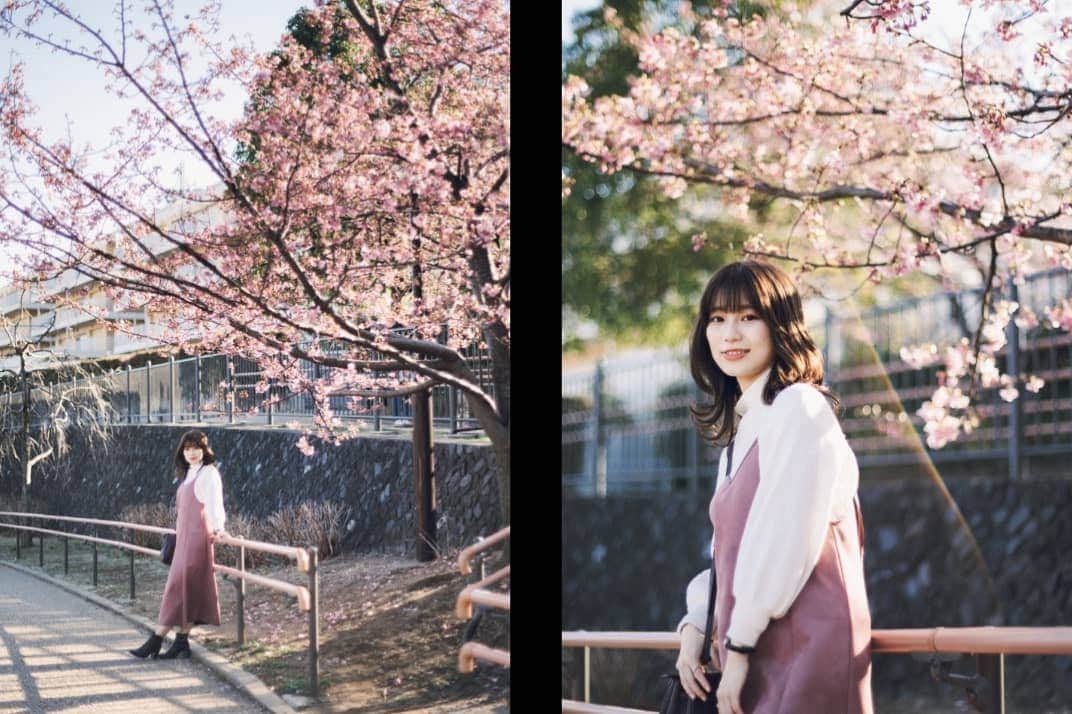 遥南碧さんのインスタグラム写真 - (遥南碧Instagram)「今年も春がやってきました🌸  💃 @miwa_my10 📷 @harunaoi_photo 💄 @masayanhair  ちなみにこの日Canon R6の初陣で Nikon Z6も混ざってるんですけど どれがどっちか分かりますか？🧐 * * * #何気ない日常の物語 をモチーフに 東京拠点で #被写体募集 しているので #邦画の彼女感 に 興味がある方はお気軽に ご連絡ください。  モデルのファッション撮影や アイドルのグラビアなど 一緒に作品撮り出来る ヘアメイク 、スタイリスト も募集中✨  案件やコラボのお誘いは お気軽にコメント、DMください！ * * * #河津桜 #桜ポートレート #その瞬間に物語を #何気ない瞬間を残したい #サロンモデル #フィルム好きな人と繋がりたい #フィルム寫眞 #幸せな瞬間をもっと世界に #좋아요반사 #関西写真部SHARE #人像攝影 #儚くて何処か愛おしい様な #デジタルでフィルムを再現したい #season_girls_collection #indy_photolife #japanesegirl #패션스타그램 #into_the_screen #film365life #analogportrait #as_archive  #photogram_archive  #jp_portrait部 #film_jp #photocinematica #vogue_memories #good_portraits_world」2月21日 12時50分 - harunaoi_photo