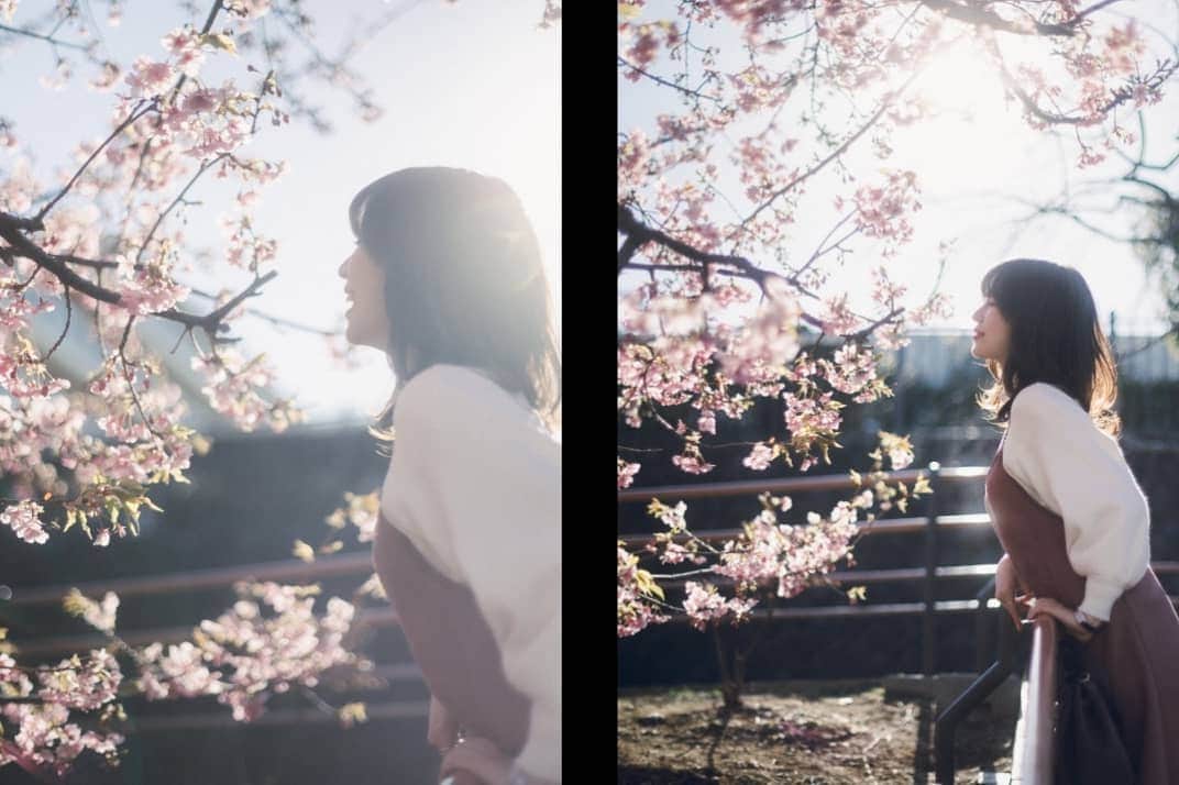 遥南碧さんのインスタグラム写真 - (遥南碧Instagram)「今年も春がやってきました🌸  💃 @miwa_my10 📷 @harunaoi_photo 💄 @masayanhair  ちなみにこの日Canon R6の初陣で Nikon Z6も混ざってるんですけど どれがどっちか分かりますか？🧐 * * * #何気ない日常の物語 をモチーフに 東京拠点で #被写体募集 しているので #邦画の彼女感 に 興味がある方はお気軽に ご連絡ください。  モデルのファッション撮影や アイドルのグラビアなど 一緒に作品撮り出来る ヘアメイク 、スタイリスト も募集中✨  案件やコラボのお誘いは お気軽にコメント、DMください！ * * * #河津桜 #桜ポートレート #その瞬間に物語を #何気ない瞬間を残したい #サロンモデル #フィルム好きな人と繋がりたい #フィルム寫眞 #幸せな瞬間をもっと世界に #좋아요반사 #関西写真部SHARE #人像攝影 #儚くて何処か愛おしい様な #デジタルでフィルムを再現したい #season_girls_collection #indy_photolife #japanesegirl #패션스타그램 #into_the_screen #film365life #analogportrait #as_archive  #photogram_archive  #jp_portrait部 #film_jp #photocinematica #vogue_memories #good_portraits_world」2月21日 12時50分 - harunaoi_photo