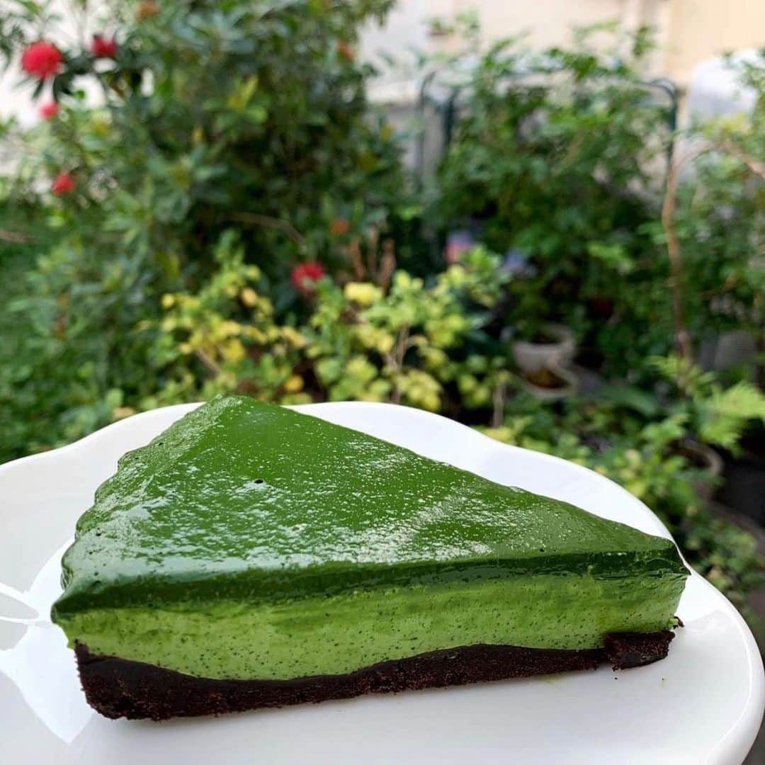 tealilycafeのインスタグラム：「Seasonal special  MATCHA MOUSSE CAKE  MATCHA PUDDING   #homematcha」