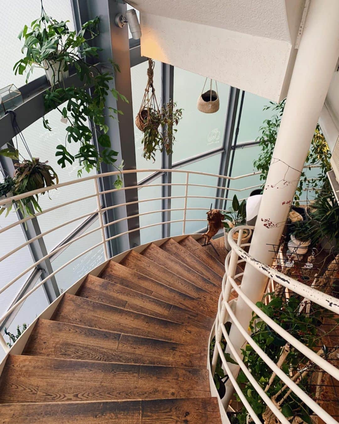 春名亜美さんのインスタグラム写真 - (春名亜美Instagram)「とっても好きな階段🪴🌿🌵🌴」2月21日 13時02分 - amiharunaami