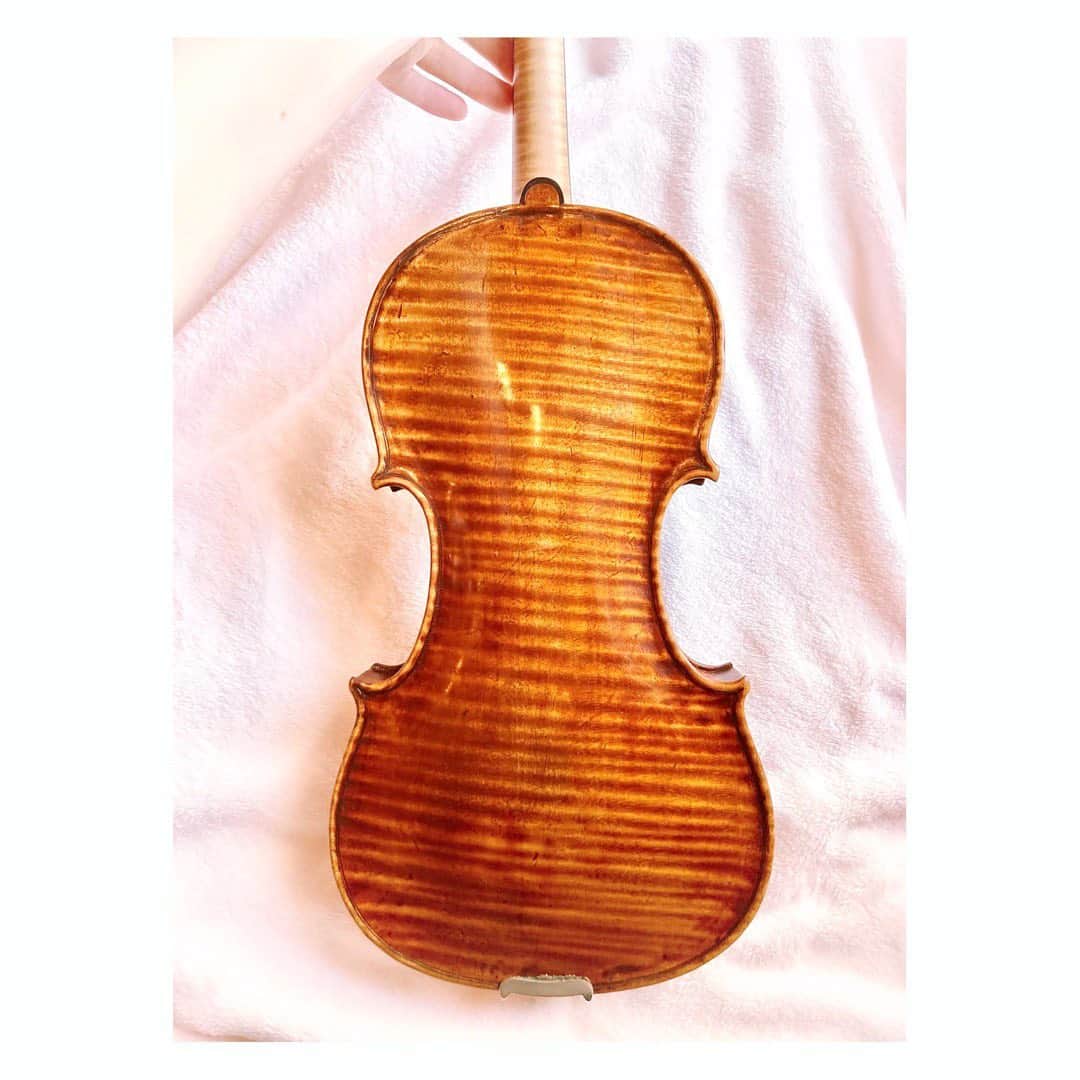 宮本笑里さんのインスタグラム写真 - (宮本笑里Instagram)「300歳。この美しさたるや。  #酸いも甘いも知り尽くした関係  #相性の良さ #出逢えてよかった  #violin #バイオリン #一枚板 #くびれ」2月21日 13時15分 - emirimiyamoto