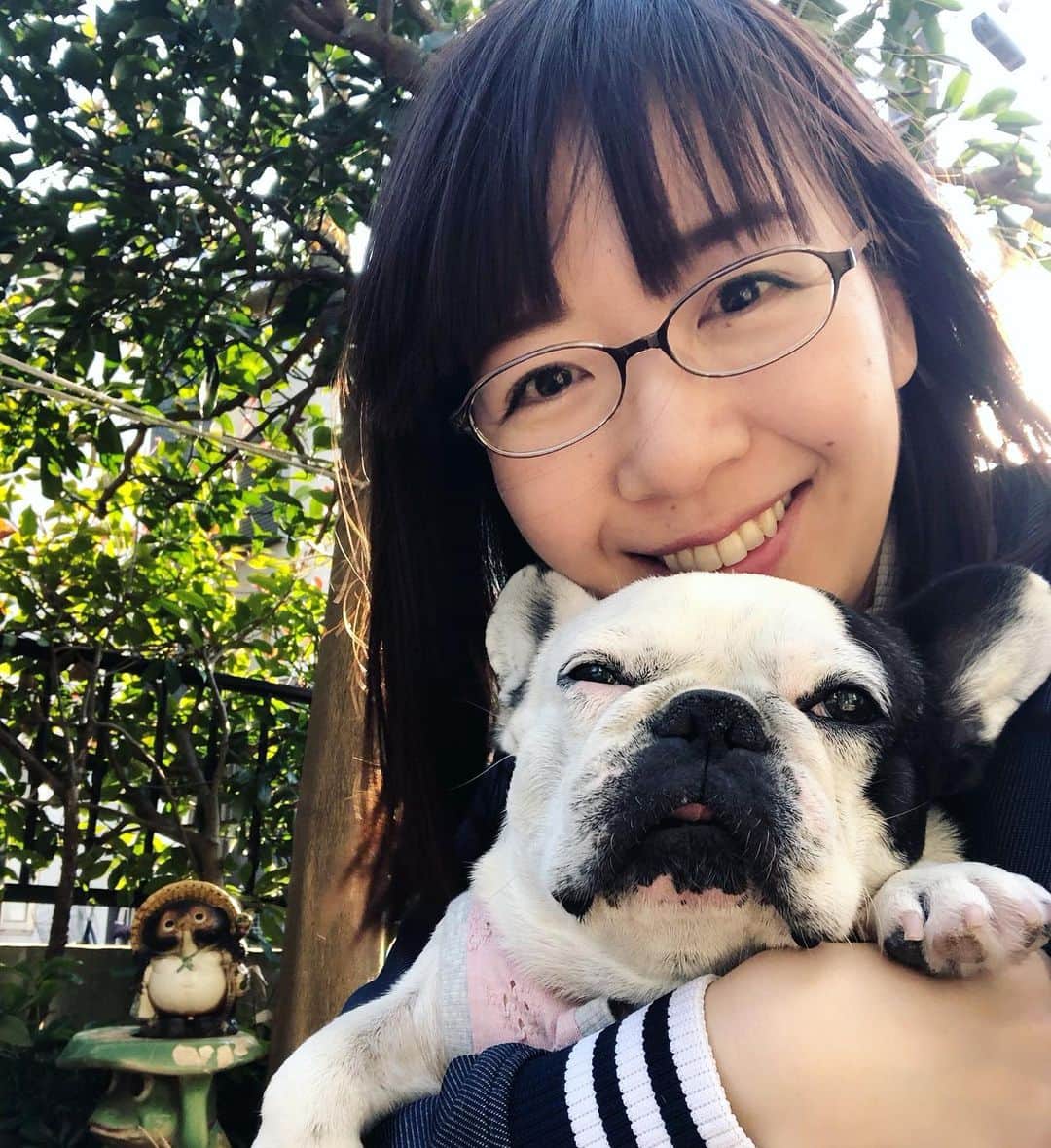 進藤やす子のインスタグラム：「✳︎ 昨日の光がキレイな写真、最初違う角度で撮ってたらタヌキ（＋🐸←どっちもオトンセレクト）が写り込んでることに気づき、角度を変えたら撮れたんです。 . ある意味タヌキのおかげ👍 . . #オトンのセンス #実家 #おしゃれさは皆無 . しかもふうちゃん🐼抱っこして椅子に座ってうたた寝してたら 誰かに話しかけられて 気づいたら近所の犬好きのおっちゃんが立ってた笑 ちょうどおっちゃんにお土産のどぶろく渡したかったのでよかったけど、ある意味 #不法侵入 😂 . #のどかな週末 #週末ジャージ生活 #ふうこ日記 #ふうちゃん🐼 #ふがれす卒業生 #保護犬出身 #フレンチブルドッグ #フレンチブルドッグパイド #メガネ は #老眼鏡 #目が大きく見える のね」