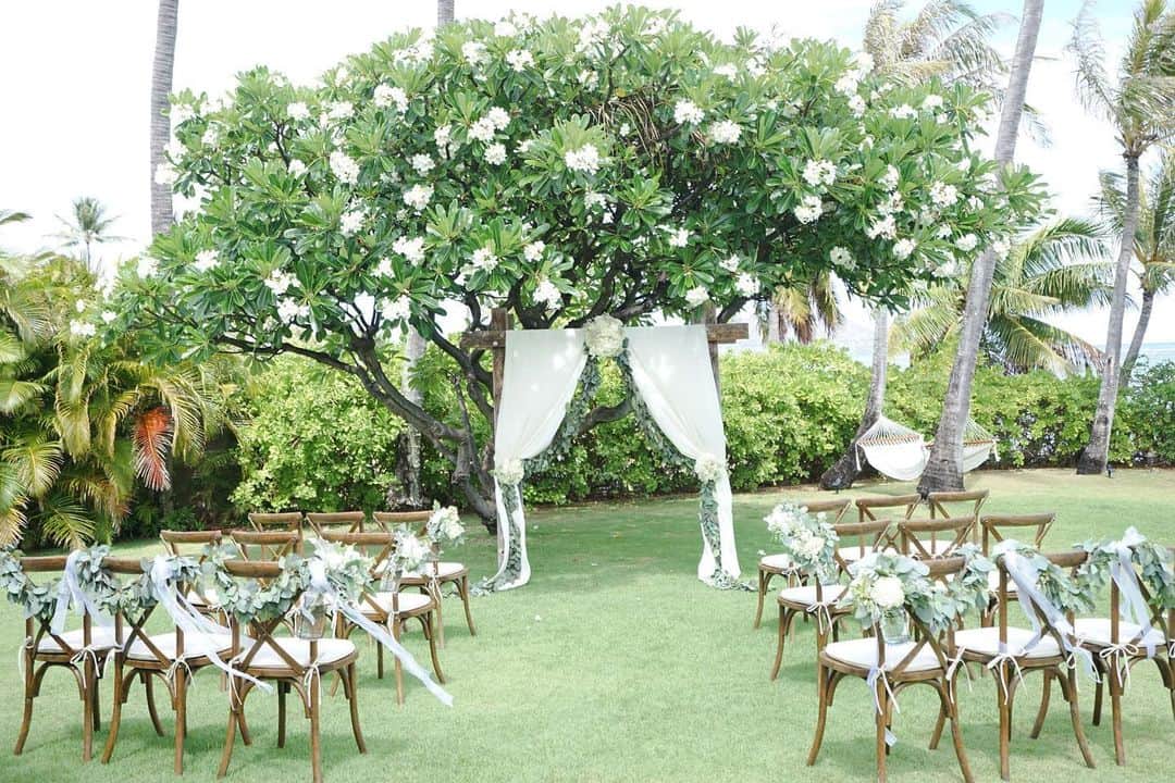 ハワイ挙式のCheersWedding チアーズウェディングのインスタグラム：「ハワイウェディングなら @cheers_wedding﻿ ﻿ 「わたしたちのセオリー」﻿ ﻿ お二人がハワイで叶えたいことは何ですか？﻿ 大切にしたい時間は何ですか？﻿ ﻿ ハワイでしか叶えられない とっておきのロケーションで﻿ お二人ならではのウェディングシーンを彩ります。﻿ ﻿ お二人が大切にしたいことを大切に﻿ ハワイだからこそ叶う時間・・・そんな特別な時間をお教えします。﻿ ﻿ ***********************﻿ ★ブライダルフェア毎日開催★﻿ オンライン相談も受付中！﻿ ﻿ ※水曜・木曜日定休﻿ ﻿ 〈時間〉﻿ 10:30〜/13:30〜/16:00〜﻿ ﻿ ※お時間調整可。ご希望のお時間をお伝えください。﻿ ﻿ 〈ご予約〉﻿ HPのご来館予約フォーム又はお電話、Instagramダイレクトメールよりご予約ください。﻿ https://www.cheerswedding.jp﻿ ☎︎0120-128-828﻿ 平日11:00〜19:00／土日祝10:00〜19:00﻿ ※水曜・木曜定休日﻿ ﻿ ***********************﻿ ﻿ ◆ウェディングパーク海外﻿ チアーズウェディングで検索！﻿ https://foreign.weddingpark.net/agentlist/100063/﻿ ﻿ ﻿ #チアーズウエディング﻿ #ハワイウェディング ﻿ #海外ウェディング﻿ #リゾートウェディング﻿ #ガーデンウェディング﻿ #海外挙式﻿ #ハワイ挙式﻿ #ハワイ婚﻿ #新婚旅行﻿ #ハワイ旅行﻿ #cheerswedding﻿ #hawaiiwedding﻿ #ハワイハネムーン﻿ #ハワイウェディングプロデュース﻿ #日本中のプレ花嫁さんと繋がりたい﻿ #プレ花嫁﻿ #結婚式 ﻿ #花嫁準備﻿ #式場迷子﻿ #hawaiistagram﻿ #ハワイ情報 ﻿ #オアフ島﻿ #結婚式場探し﻿ #邸宅ウェディング﻿ #ハレプナカイ﻿ #halepunakai ﻿ #オリジナルウェディング﻿ #アフターパーティー ﻿ #花嫁応援キャンペーン」