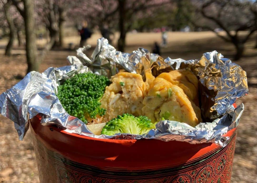 小谷あゆみのインスタグラム：「#ご近所ツーリズム #砧公園 お花見さんぽ 梅にメジロ発見！ ミャンマーでその昔買ったミャンマー漆器のお弁当箱 卵焼きうまくなりたーい ぽかぽかぽか〜 春きたー 片道2.3キロで股関節痛〜 下手くそな卵焼きも外で食べるだけでめちゃくちゃおいしく楽しい 花粉注意〜」