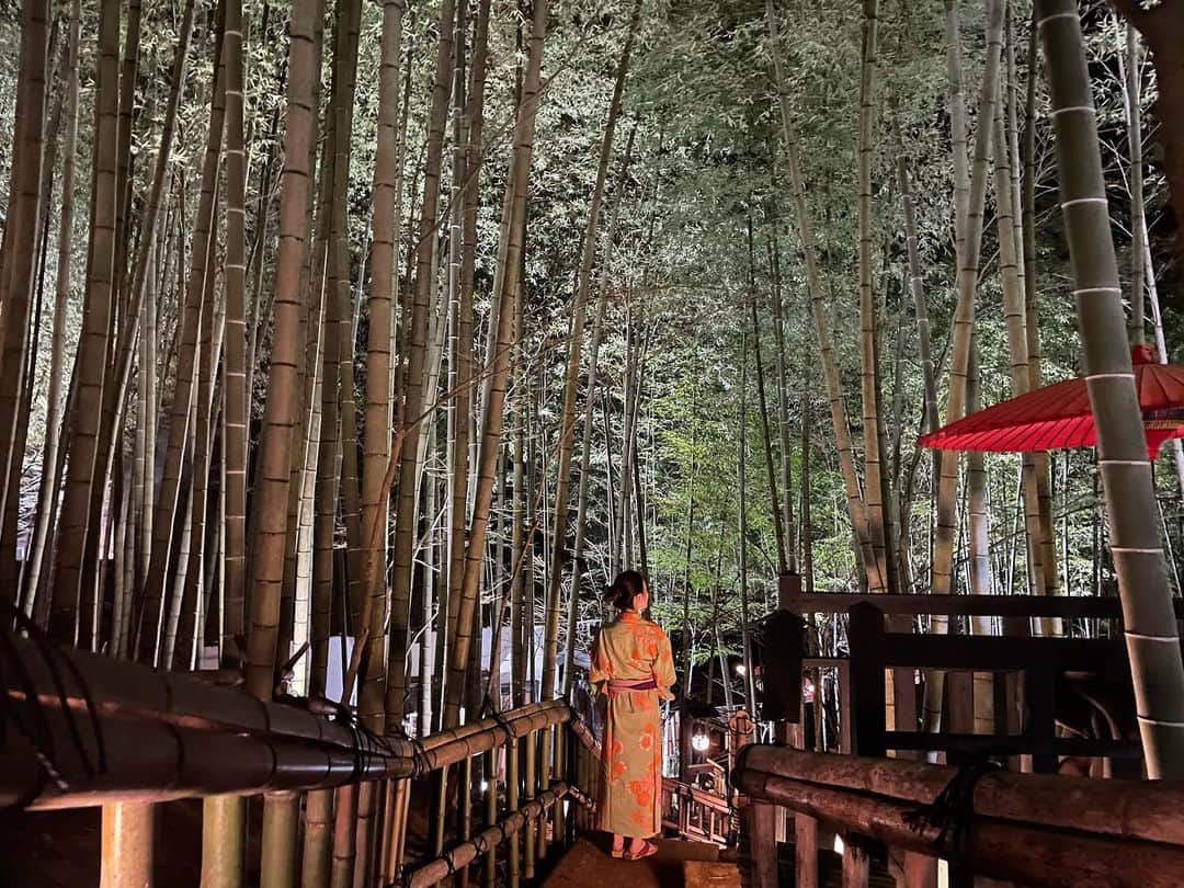 美沙さんのインスタグラム写真 - (美沙Instagram)「いつかの竹ふえ🎍 お部屋は【美丈庵】♨️ . #竹ふえ #黒川温泉 #白川温泉 #熊本 #♨️ #旅行好きな人と繋がりたい」2月21日 14時14分 - misa0623r
