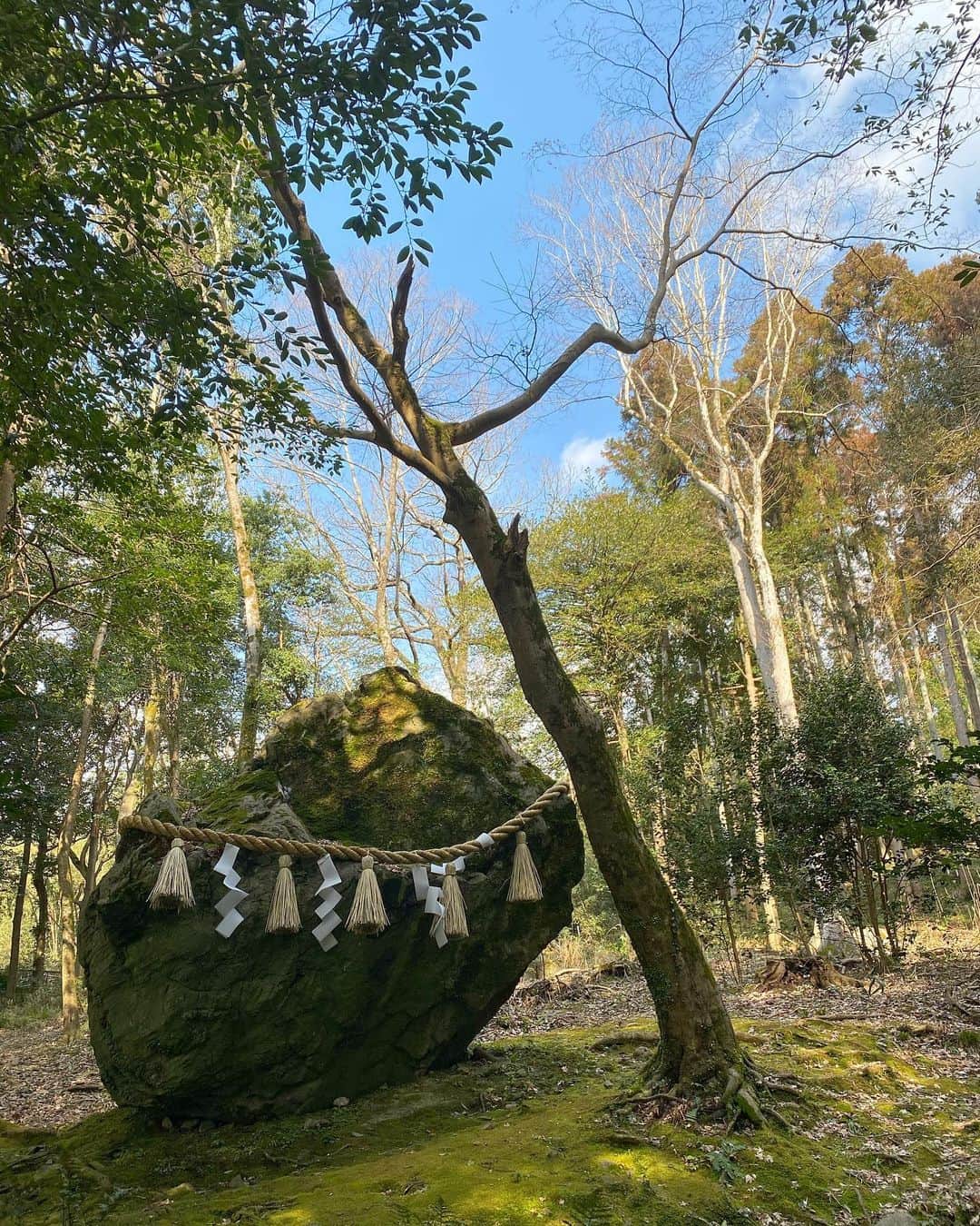 相馬絵美のインスタグラム：「この週末は友人と北海道に行く予定が、先日の地震で新幹線が止まり、京都の実家に行く夫について行くことに。  なんとなーく私の吉方位調べたらこの期間ありまして、京都が丸かぶり。ヤッター🙌  せっかくなので実家から割と近くてしっかりお参りしなかった世界遺産の上賀茂神社と、気になっていた亀岡市にある出雲大神宮、そして何か勘違いしてタクシーの運転手さんに伝えたらたどり着いた、地元の人しかわからないマイナーな八坂神社にお参りに⛩  写真は出雲大神宮の鎮守の杜の中にある大きな「磐座」 神様の宿る御神体のようで、神社の一番パワー強いところだそう。  知らないで本殿だけお参りして出ようとした先に、何故か運転手のおじちゃんが車から出てスタンバイして待ってて「ここ行った？」ってズンズン進んで連れてってくれたの。 きっとあのおじちゃんは仙人か妖精か神様🧚‍♂️  勘違いして着いた八坂神社も何だか呼ばれた感あって凄く良い場所だったのでまた写真載せますね。  烏の写真は近くの上賀茂神社にて。 私の大好きな八咫烏をお祭りしてるんだよー。  #世界遺産 #上賀茂神社 #出雲大神宮 #八坂神社 #亀岡市 #吉方位 #京都 #神社」