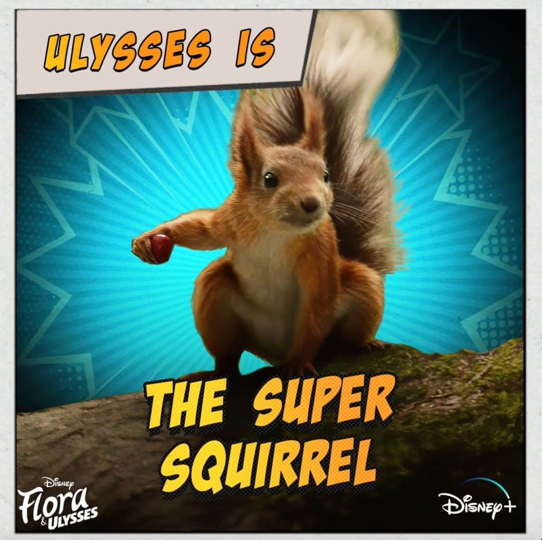 Walt Disney Studiosのインスタグラム：「Ulysses superpowers include: ⚡️ Super speed 🍩 Super appetite 💕 Super awww-esome Watch #FloraAndUlysses, now streaming on #DisneyPlus」