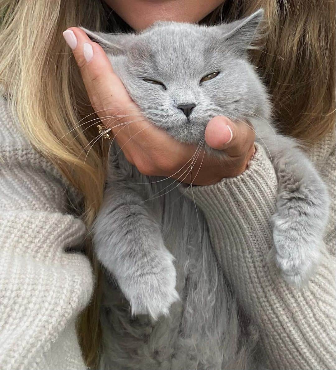 Mathilde Goehlerのインスタグラム：「MOSHU IS BACK 😭 i honestly don’t remember ever being this relieved 🥵 just want to say a million times thank you to all of you that offered your help and was looking for her and for all your advise. I am so grateful ♥️🥺」