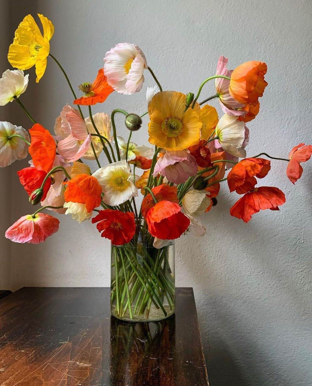 アリスマッコールのインスタグラム：「Pretty poppies to brighten up the end of the week #aliceMcCALL」