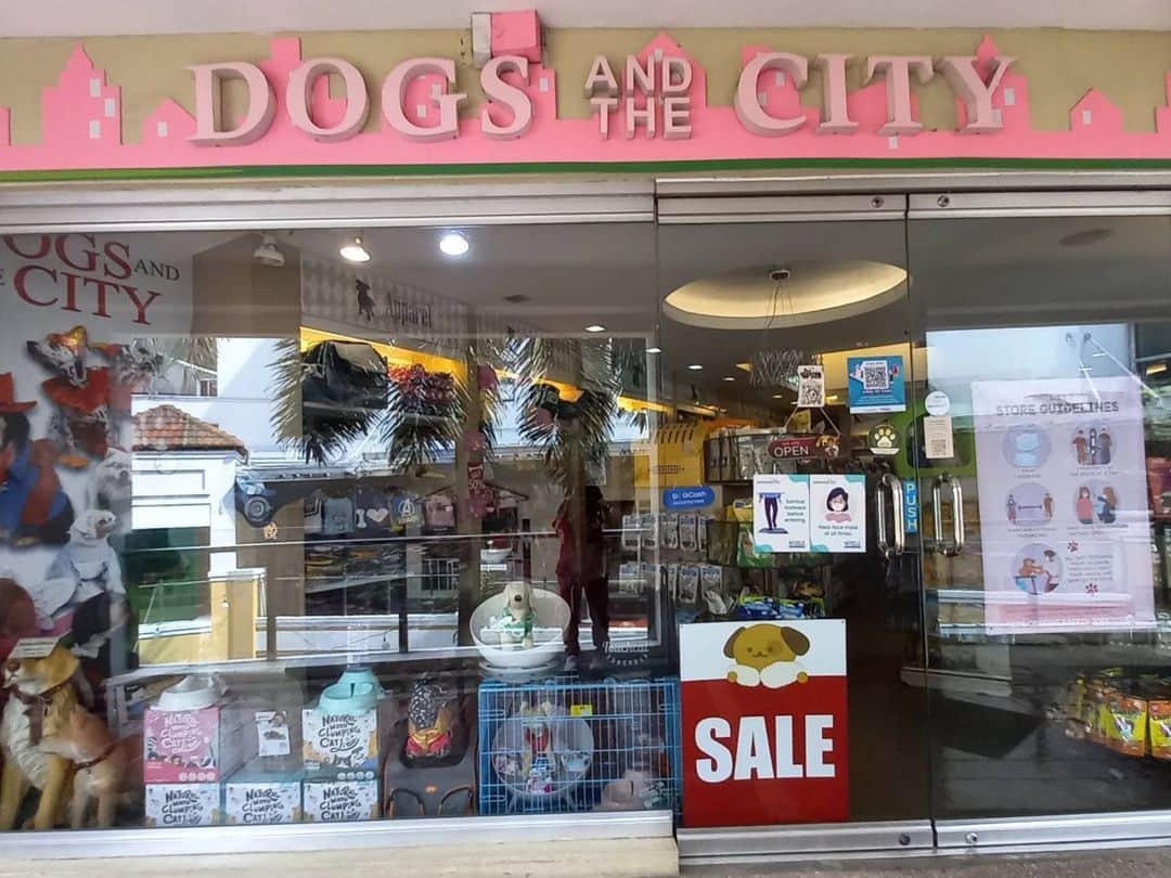 Alexa Ilacadさんのインスタグラム写真 - (Alexa IlacadInstagram)「My bundles of joy. 🐶😻 . As a furmom, I only want what’s best for them which is why I trust @dogsandthecityph when it comes to shopping for their needs. ♥️ I usually visit their Eastwood branch for their grooming and other needs but since I’ve been busy with lock-in tapings, I do my shopping online through their website. Best part is that @dogsandthecityph finally accepts @lykaglobal gems as payment! 💎」2月21日 17時23分 - alexailacad