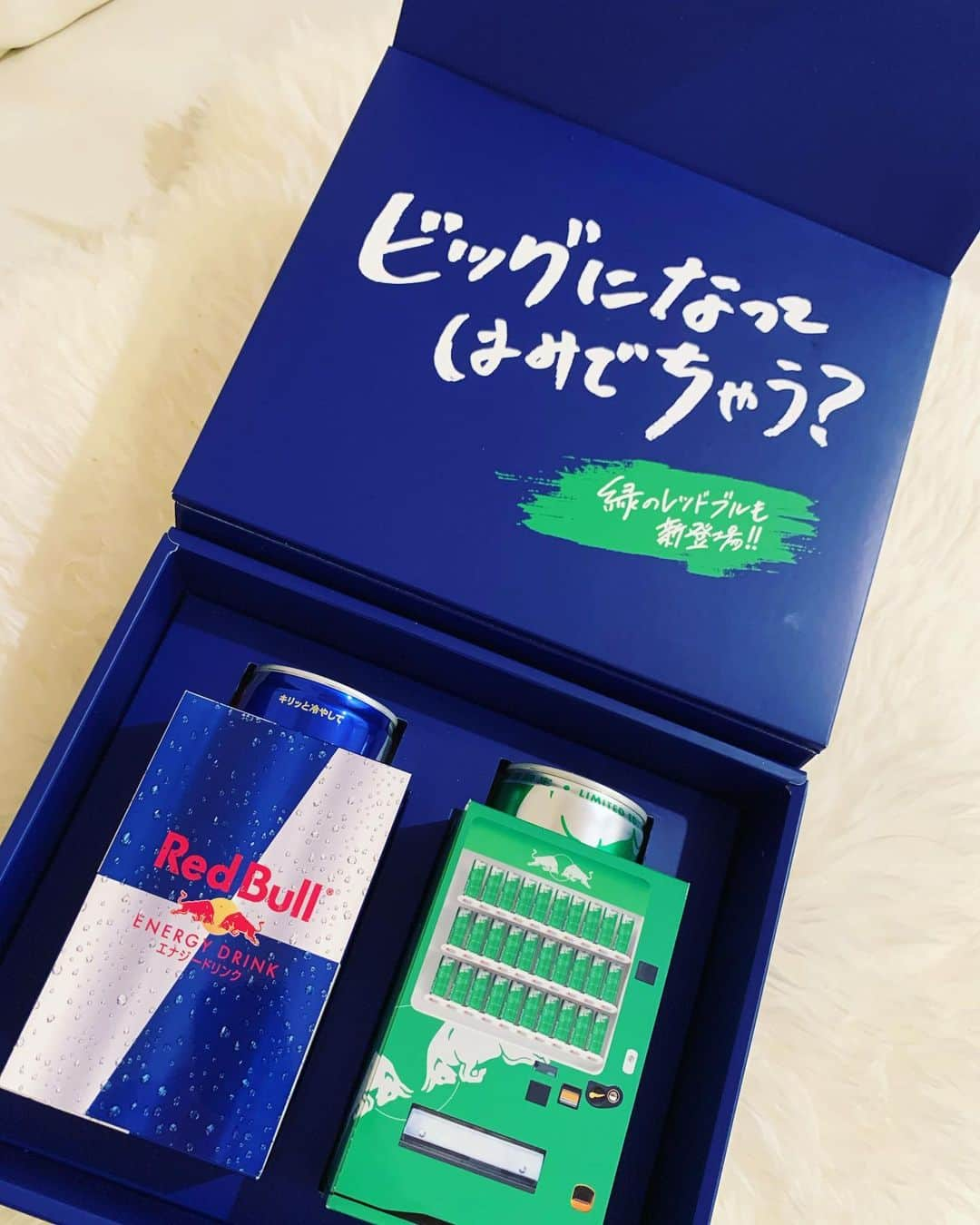 井出遥也さんのインスタグラム写真 - (井出遥也Instagram)「@redbulljapan 届きました🔥！パワーもらって頑張ります！！！  #RedBull  #緑のレッドブル  #新登場」2月21日 17時56分 - haruya_ide11