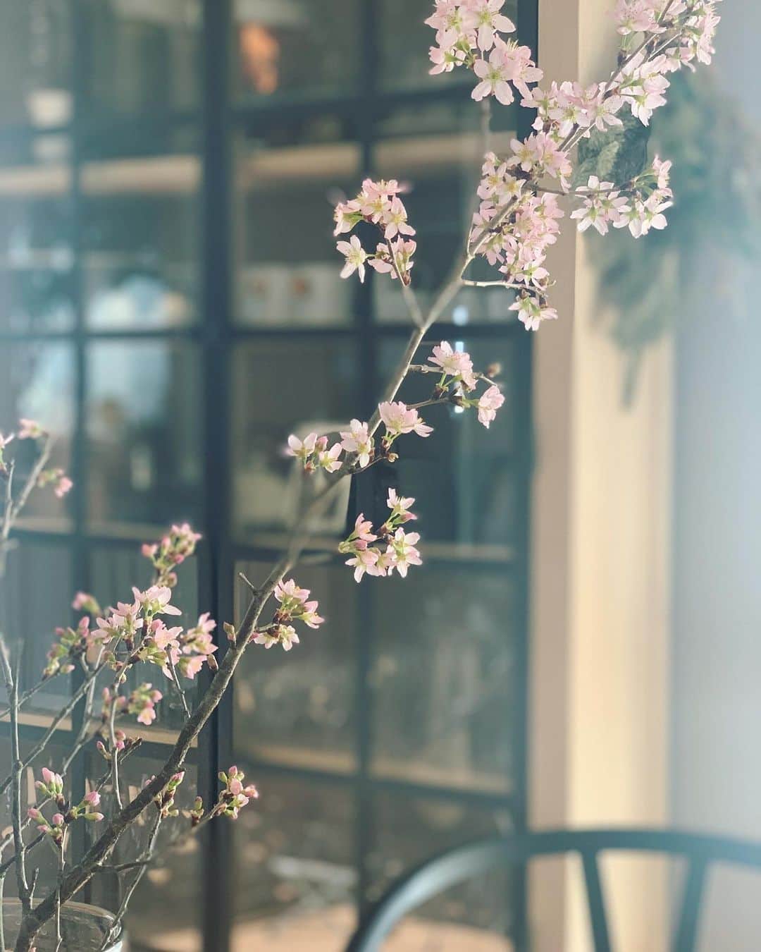 松見早枝子さんのインスタグラム写真 - (松見早枝子Instagram)「#チューリップ に#啓翁桜 。そしてうちに来て今年で17年になる蘭。 ・ この暖かさにみな一気に開いてにぎやかです😊✨ ・ ・ #花のある暮らし #花のある生活 #粮理家 #ウェルネスフードスタイリスト #松見早枝子 #tableflower #tableflowers #wellnessfoodstylist #saekomatsumi」2月21日 18時00分 - saekomatsumi
