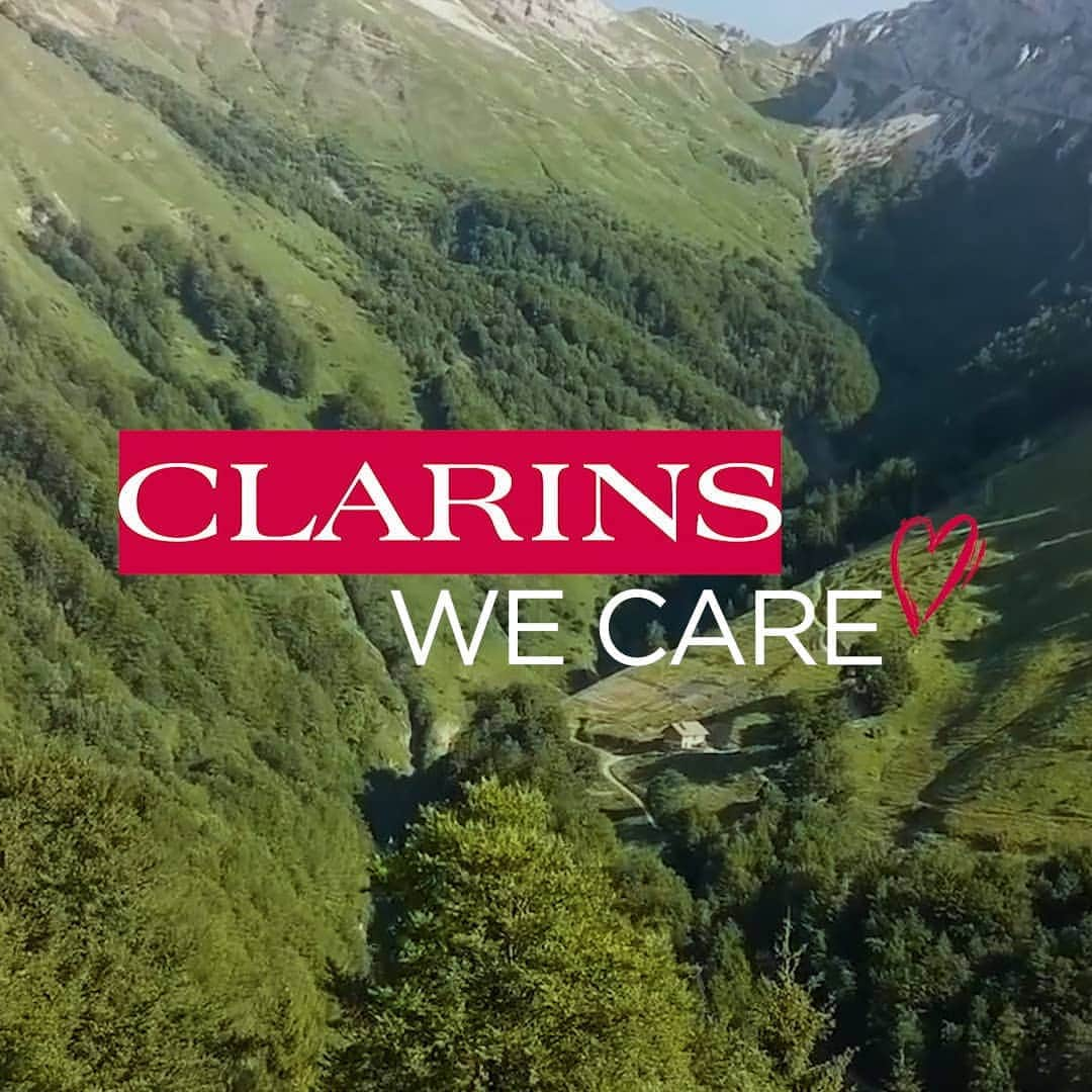 Clarins Italiaさんのインスタグラム写真 - (Clarins ItaliaInstagram)「Perché piantare alberi? Un albero può portare molti benefici. . . . . .  🌱I BENEFICI SULL’ECOSISTEMA:  - Adattamento al cambiamento climatico. - Arricchimento del suolo con materia organica, disinquinamento del suolo e riduzione dei rischi di frane e danni causati dall’erosione. - Aumento del tasso di impollinazione, lotta contro i parassiti e preservazione della biodiversità. - Purificazione dell’acqua e miglioramento dell’infiltrazione e della capacità di ritenzione idrica del suolo e dell’atmosfera.  💚I BENEFICI SULLE COMUNITÀ LOCALI:  - Aumento e diversificazione delle entrate.  - Istruzione e formazione per un modello di agricoltura ancora più sostenibile - Conservazione delle usanze e del savoir-faire tradizionale  Scopri di più: link in bio  #Nature #ClarinsWeCare」2月21日 18時01分 - clarinsitalia