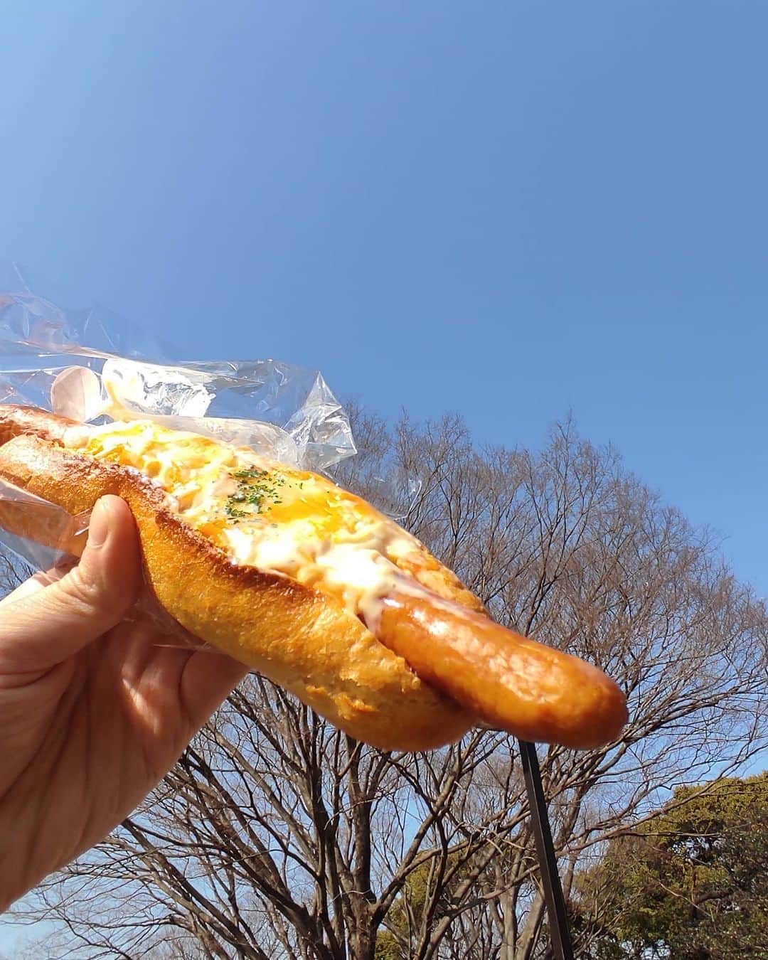 のインスタグラム：「最高の天気だった☀」
