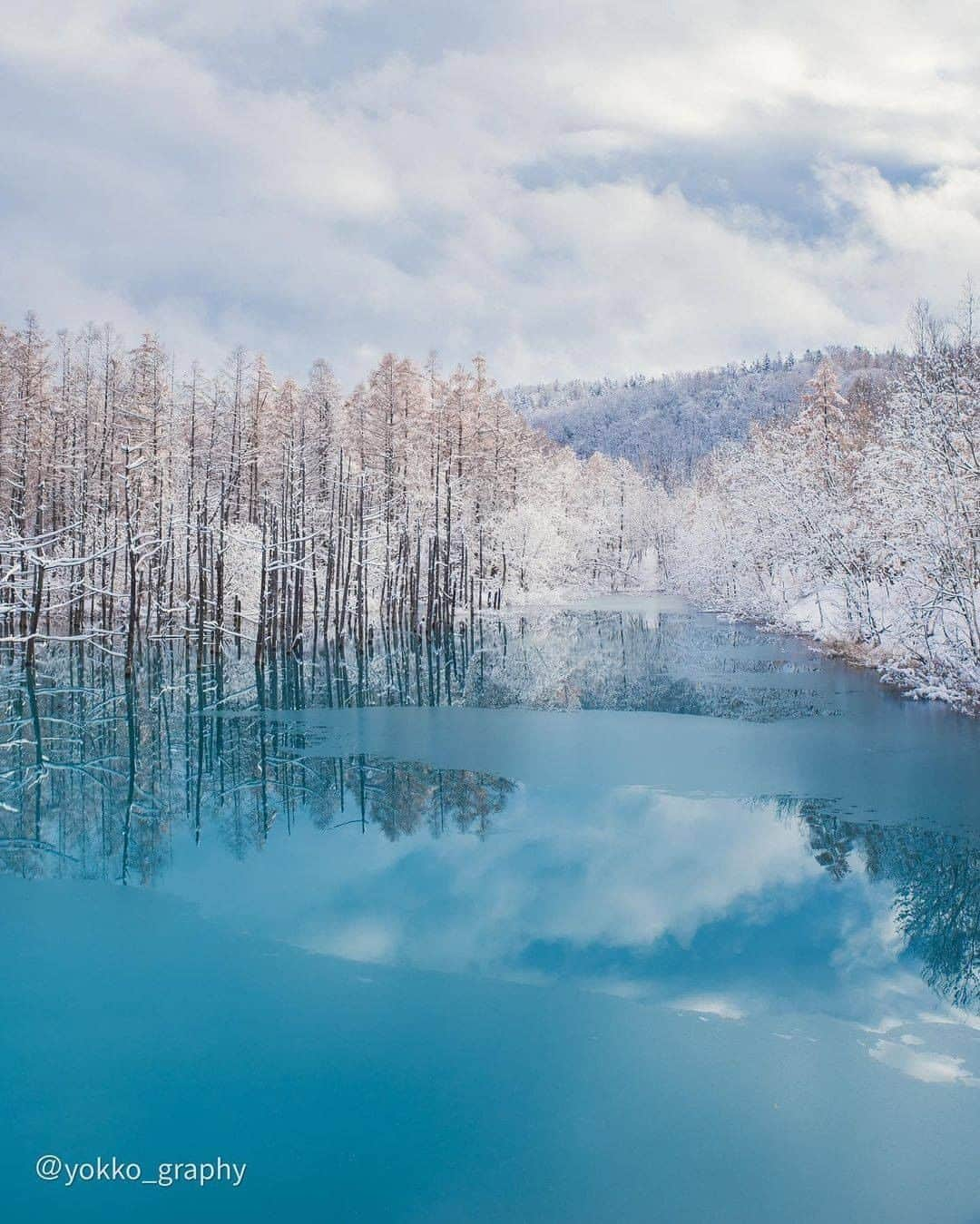 ピーチ・アビエーションさんのインスタグラム写真 - (ピーチ・アビエーションInstagram)「"北海道のほぼ真ん中"に位置する美瑛町には まるで1枚の絵画のように美しい #青い池  があります✨ 防災工事の際にダムにたまった水が驚くほど美しい青色になり、 「白金青い池」と呼ばれるようになったそう👀 . おすすめの時間帯は日中☀️で、 太陽の光が差し込むことで水面がとても青く見え、まわりの枯れた立木とも相まって幻想的な風景を楽しむことができます😌 春には雪解け水が流れ込みグリーンブルー、初夏はライトブルーと、四季によってさまざまな表情を見せてくれるんです✨ . 2月10日に東京（成田）―女満別線が就航しました。 既存の東京（成田）ー札幌、釧路線に続き、北海道への3路線目の就航となります🍑 女満別から網走・知床を巡って釧路へ抜ける"ひがし北海道"ルートや、長めの日数でレンタカーやバイク・鉄道を利用して、十勝・美瑛へ訪れ札幌へ…など、さらに気軽で自由な北海道旅が実現できます♪ ぜひ、みなさまのおすすめプランも教えてくださいね✈ . . . . . . . . . . . . . . . . . . . . . . . . . . . . . . . . . . . . . ▶Photo by @yokko_graphy OOKINI!! ▶Place： #北海道 #美瑛町 . . . . . . . . . . . . . . . . . . . . . . . . . . . . . . . . . . . . Peachでは各就航地で撮影された皆さまのお写真をInstagramでご紹介させていただいています。 #fly_peach をつけて投稿してください✨ . #北海道旅行 #北海道観光 #国内旅行 #美瑛 #青池 #十二湖  #北海道の風景 #冬の北海道 #美しい風景 #神秘的な場所 #フォトスポット #Hokkaido #hokkaidotrip #ig_hokkaido #hokkaidolikers #look_japan #japanpic #pkt_japan」2月21日 18時30分 - flypeach