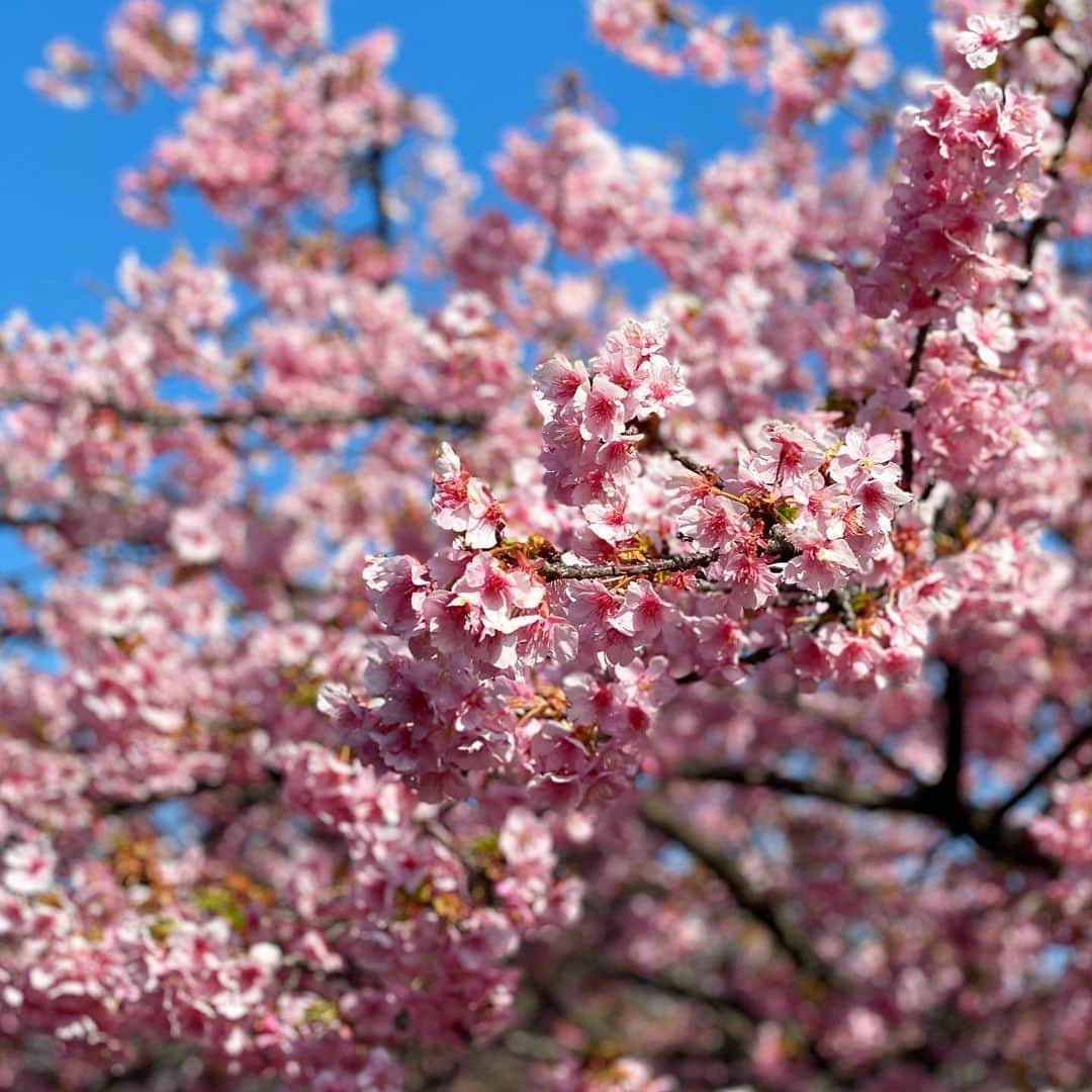 yoka1124さんのインスタグラム写真 - (yoka1124Instagram)「☆☆☆  今日もいいお天気 公園の桜が咲いてたよー🌸 でも、、、 今日から花粉症がひどい 春は好きだけど花粉症はいやだー😭  暖かくなると着たくなるトレンチとGジャン @reurie_official のワンピースと❤︎  👕 #uniqlo #uniqloginza  👗#reurie #レウリィ 👜  #loewe  👟 #アツマトレイル  #プチプラコーデ #プチプラ #きれいめコーデ#きれいめカジュアル #大人カジュアルコーデ #大人カジュアル #code#coordinate #今日のコーデ#ママコーデ#ママファッション#高身長女子 #大人女子#シンプル #シンプルコーデ #高身長コーデ」2月21日 18時26分 - yoka1124