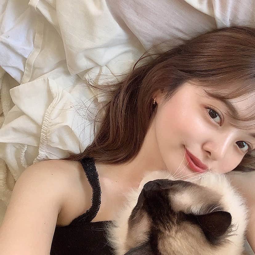 のインスタグラム：「《猫ちゃんと一緒に😻❤️》⁠⠀ *⁠⠀ リポストを使って、素敵な写真📷✨を投稿されてる方を紹介させて頂く⠀⠀⠀⁠⠀ 【💄美女美容事情💅】のコーナーです✨⁠⠀ *⠀⠀⠀⠀⠀⠀⁠⠀ いいねやコメント、😘して応援してね❤︎🥰🎶⁣⁠⠀ ⁠⠀ The corner to introduce a beautiful women.⁠⠀ Like👍and please give a lot of comments.⁠⠀ Is there a beautiful woman you like?⁠⠀ ⁠⠀ feel free to Follow me!⁠⠀ *⠀⠀⠀⠀⠀⠀⁠⠀ 今回ご紹介させて頂きますのは❤︎⁠⠀ chiharuさん<@chii.pink>の素敵なお写真📸⁠⠀ *⁠⠀ ⁠猫ちゃんと一緒の写真です❤️⠀ chiharuさんも猫ちゃんもどちらも可愛いすぎますね💕⠀ *⠀⁠⠀ chiharuさんのアカウントには他にも素晴らしい投稿が沢山ありますので是非覗いてみてくださいね💁‍♀️💙⁠⠀ *⠀⁠⠀ chiharuさん<@chii.pink>⁠⠀ ⁠⠀ 素敵な投稿ありがとうございました☺️📸✨⠀⠀⠀⠀⠀⠀⠀⁠⠀ △▼△▼△▼△▼△▼△▼△▼△▼△▼⠀⠀⠀⠀⠀⠀⠀⠀⠀⠀⠀⠀⠀⠀⠀⠀⠀⠀⠀⠀⠀⠀⠀⠀⠀⠀⠀⠀⠀⠀⁠⠀ ❤🧡💛「美女美容事情」💚💙💜⠀⠀⠀⠀⠀⠀⠀⠀⠀⠀⠀⠀⠀⠀⁠⠀ 👇掲載ご希望の方は👇⠀⠀⠀⠀⠀⠀⠀⠀⠀⠀⠀⠀⠀⠀⠀⁠⠀ @b_b_j.jタグ付けと🖤 # ビジョビ⠀🖤タグ付けお願いします✨⁠⠀ △▼△▼△▼△▼△▼△▼△▼△▼△▼⠀⁠⠀ #美女#美容#猫大好き美女#猫大好き美人⠀ #動物#猫#猫ちゃん⠀ #美肌#美意識#ベット⠀ #インスタ美女#インスタグラビア⠀⠀ #インスタ女子#インスタグラマー」