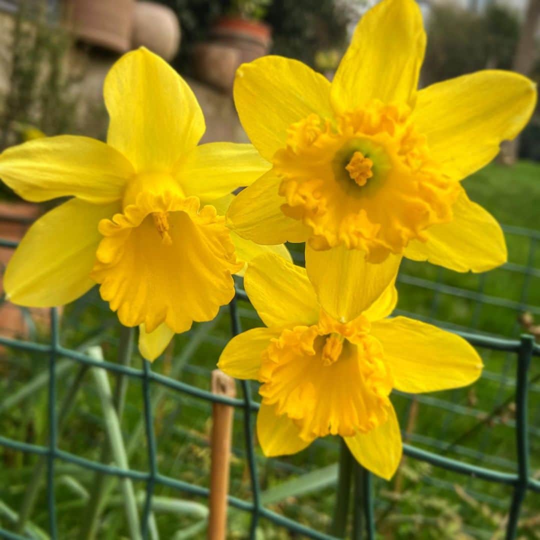 デビッド・モリシーのインスタグラム：「What a beautiful morning!」
