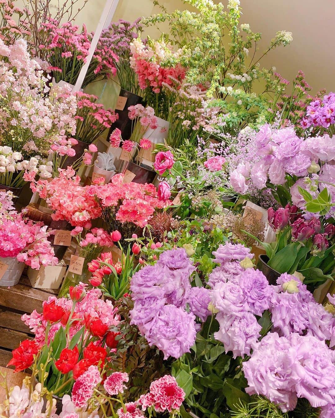 まんまるとまとのインスタグラム：「Flower GOOD morning Japan is now 7 o'clock🥸 ・ 日曜が起きたらおわった😞😞 わら ・ いつもコメント いいねしてくださる方 本当にありがとうございます🧚‍♂️🚗✨ ・ ・ #flowers #flowershop #japan  #日曜日 #日曜日の過ごし方 #寝て終わった」