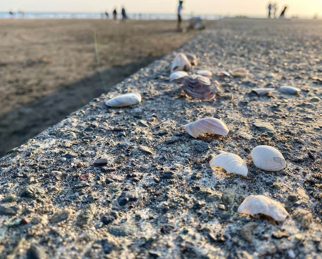井咲アキのインスタグラム：「🐚 痕跡 ・ ・ ・ #誰かの痕跡#出会った奇跡 #黄昏#黄昏時#痕跡#奇跡#夕陽 #いろんな人がいるよね」