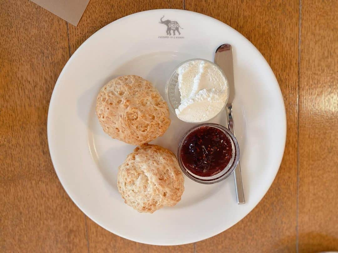 熱田久美のインスタグラム：「☕️NASU SHOZO CAFE / 高久〔栃木〕 ------------------- 東京カフェではない番外編です！ かなり前の過去picですが…🕊 大好きなshozo cafe 𖠚ᐝ✨こちらではない黒磯本店にも行ったことあるけど、どちらもそれぞれの良さがあってすきです🌿 行くとわたしはスコーンの一択！他のシフォンケーキとかも美味しそうなんだけど、ついスコーンセット🤲 こんなスコーンがおうちで作れたらいいのになあ！ って思うけど、素人にはやはり難しいです🤣 わたしの癒しの時間 ☺︎✨ ・ #shozocafe #nasushozocafe  #那須カフェ #那須塩原カフェ #栃木カフェ #栃木カフェ巡り #スコーン #スコーン好きな人と繋がりたい #スコーン大好き #スコーン部」