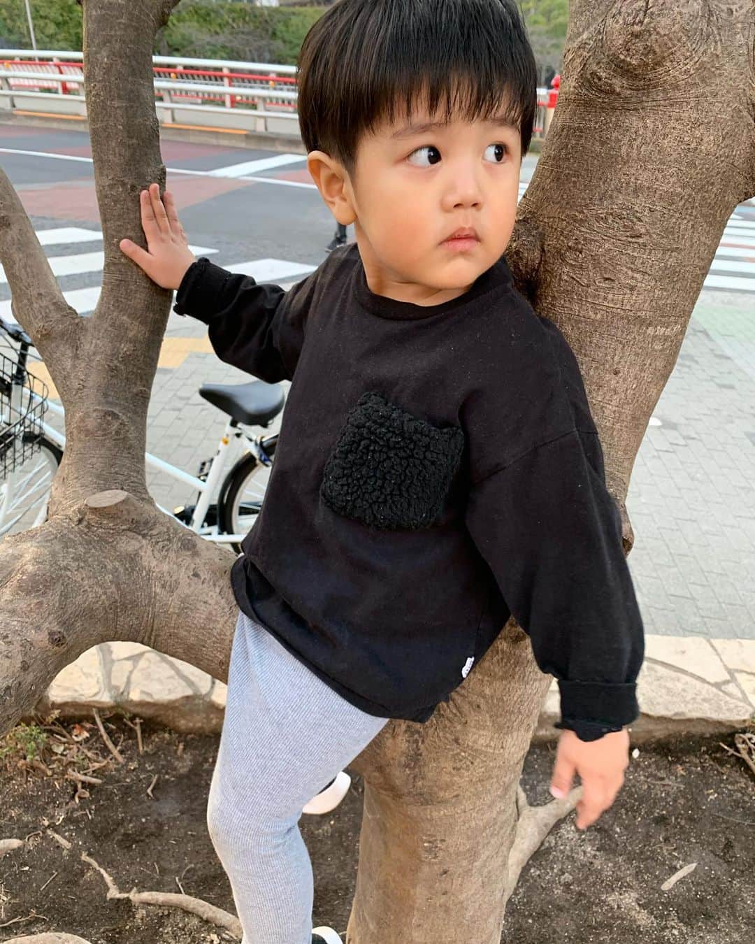 中根麗子のインスタグラム：「今日は公園へ行き 海斗は木登りをしました💗 すべり台やブランコをやりました。 でも、ブランコで大きいお姉さんが ブランコの上に登ってて 海斗はそこに登ったら 危ないよと言いながら 不安そうな顔してブランコに乗ってました。 でも楽しかったね💗  #海斗 #3歳 #男の子ママ #女の子ママ #boy #love」