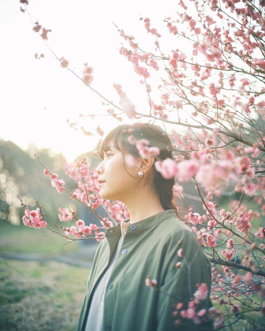 shinichi38のインスタグラム：「﻿ ﻿ Spring Garden 🌸﻿」