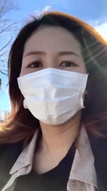 のインスタグラム：「ただただ散歩🚶‍♀️ そして雑談」