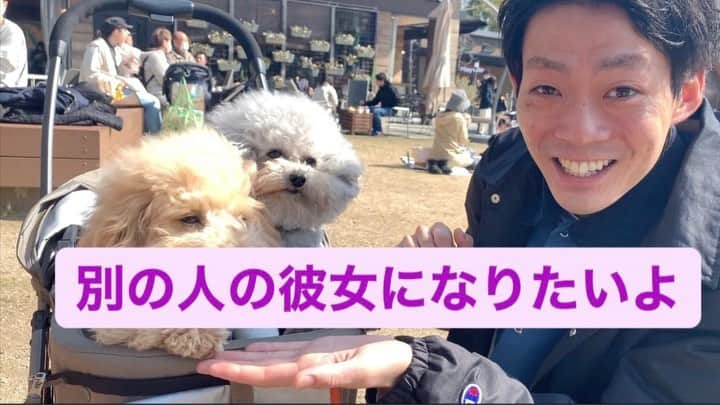 皆川勇気のインスタグラム：「#別の人の彼女になりたいよ  撮影協力　 滝音　秋定 (@ryotaroakisada )  むぎちゃんとぷーまちゃん (@mugi_poohma_papa )  ありがとう。」