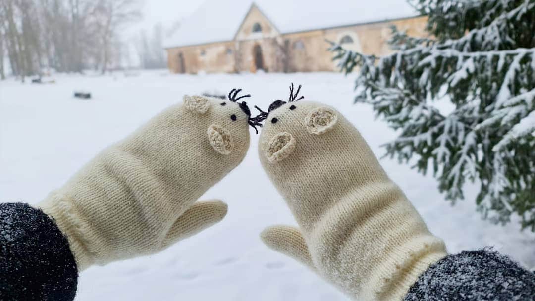 ティネスのインスタグラム：「Exploring Latvia with warmest and cutest mittens! 💛🐭 Get your mice mitten pair on WWW.TINES.LV Various colors available. Match them with kids mice mittens 🙆🏻‍♀️🙆🏼‍♂️」