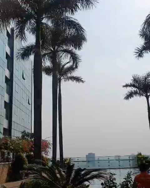 のインスタグラム：「プール入ろうかな。  #training #pool #hochiminhcity  #nice #sunday #view #vietnam  #saigon #sun」
