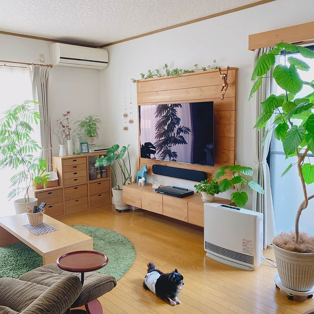 RoomClipJPさんのインスタグラム写真 - (RoomClipJPInstagram)「『壁掛けテレビDIYのある部屋』テレビもテレビボードも壁にかけてすっきりと。お掃除がしやすくなるというメリットも。8,000枚以上の壁掛けテレビの実例を参考にしてみてください⁠ .⁣⠀﻿⁠ Photo:yuka(RoomNo.321241)▶︎この部屋のインテリアはRoomClipのアプリからご覧いただけます。アプリはプロフィール欄から⁣⠀﻿⁠ .⁣⠀﻿⁠ 投稿イベント開催中です【まもなく終了する投稿イベント】『愛用のまな板〜2/21』『ウォールデコレーション〜2/21』⁠ .⁠ #RoomClip#ルームクリップ#interior#instahome#インテリア#暮らし#日常#マイホーム#日々の暮らし#丁寧な暮らし#新築#家#シンプルライフ#リビング#マイホーム記録#シンプルな暮らし#家づくり#収納#新築一戸建て#マイホーム計画#すっきり暮らす#整理収納#マンションインテリア#マンション暮らし#賃貸diy#壁掛けテレビ#壁掛けテレビdiy#ペットのいる暮らし#愛犬#ペットインテリア」2月21日 20時30分 - roomclipjp