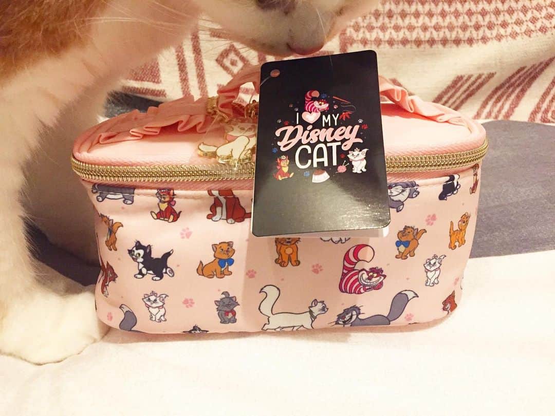 にゃんすくんのインスタグラム：「I❤️my Disney Cat！！ ディズニーの猫キャラいっぱいポーチ買っちゃったー❤️  #Disneycat #DisneyStore #ディズニーストア」